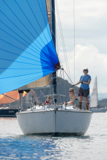 zebedee 6731y whyw16 mon 800 2097w